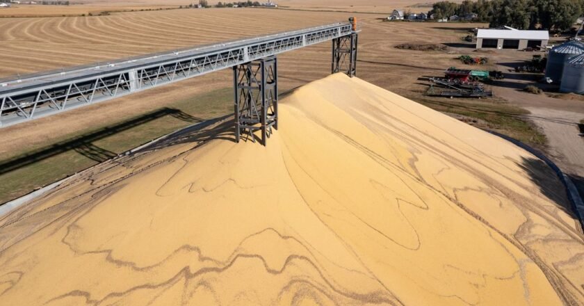 El frente oculto de la guerra en Irán que amenaza con llegar a los comedores de todo el mundo