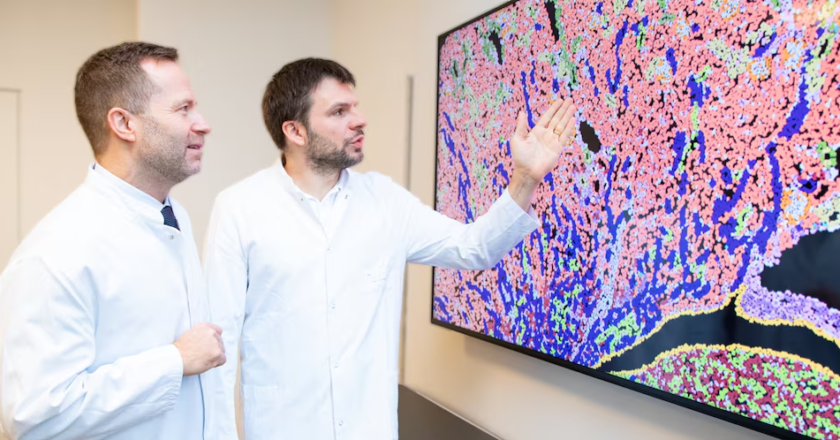 Un avance científico que cambia el juego en trasplantes de riñón: detectar el rechazo antes de que duela