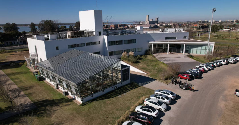 La crisis de Bioceres: ¿qué está pasando con la biotech argentina que llegó a Wall Street?