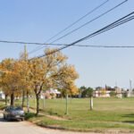 Terror en el sur de la capital tucumana por la aparición de serpientes