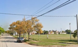 Terror en el sur de la capital tucumana por la aparición de serpientes