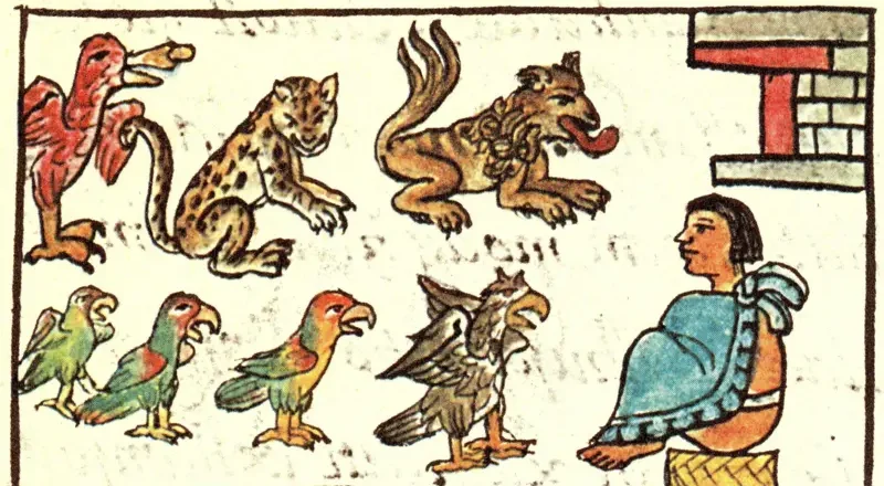El zoológico de Moctezuma que asombró a los españoles hace 500 años