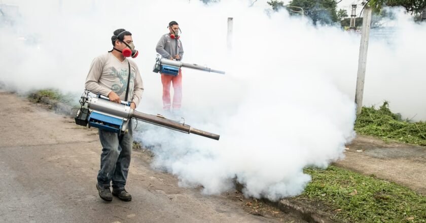 Tucumán reportó 346 casos de chikungunya y crecieron 33% en una semana