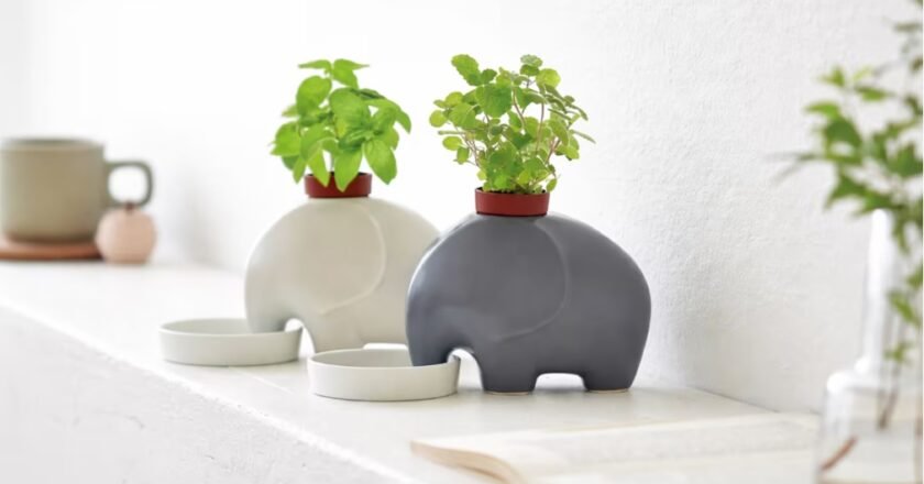 La maceta tradicional no va más: la nueva alternativa minimalista de Japón que se riega sola