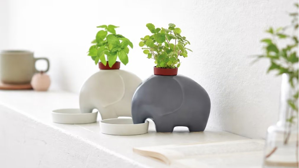 La maceta tradicional no va más: la nueva alternativa minimalista de Japón que se riega sola