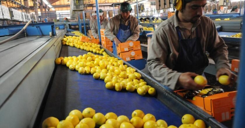 Empresarios en Tucumán: entre la supervivencia individual y la necesidad de una voz colectiva