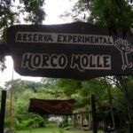 Cómo es el rescate de animales silvestres en la Reserva de Horco Molle
