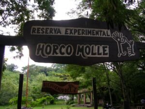 Cómo es el rescate de animales silvestres en la Reserva de Horco Molle