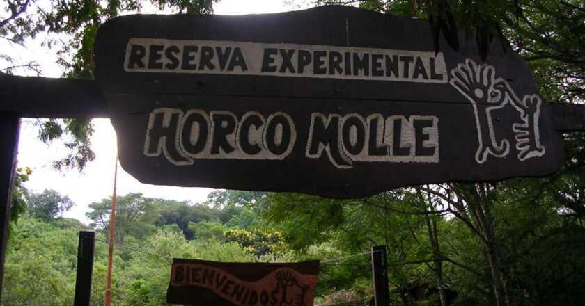 Cómo es el rescate de animales silvestres en la Reserva de Horco Molle