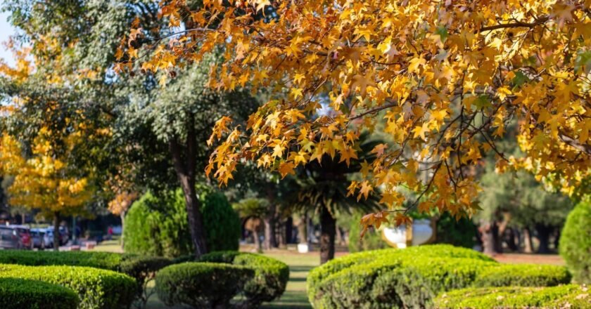 Cómo estará el tiempo en Tucumán este martes 5 de mayo