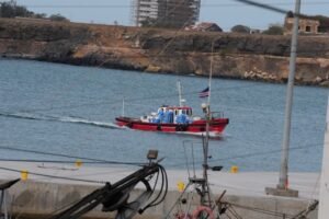 Brote de hantavirus en el crucero: evacúan a tres pacientes y confirmaron una rara cepa