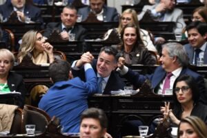 El oficialismo logró media sanción de la Ley Hojarasca en Diputados