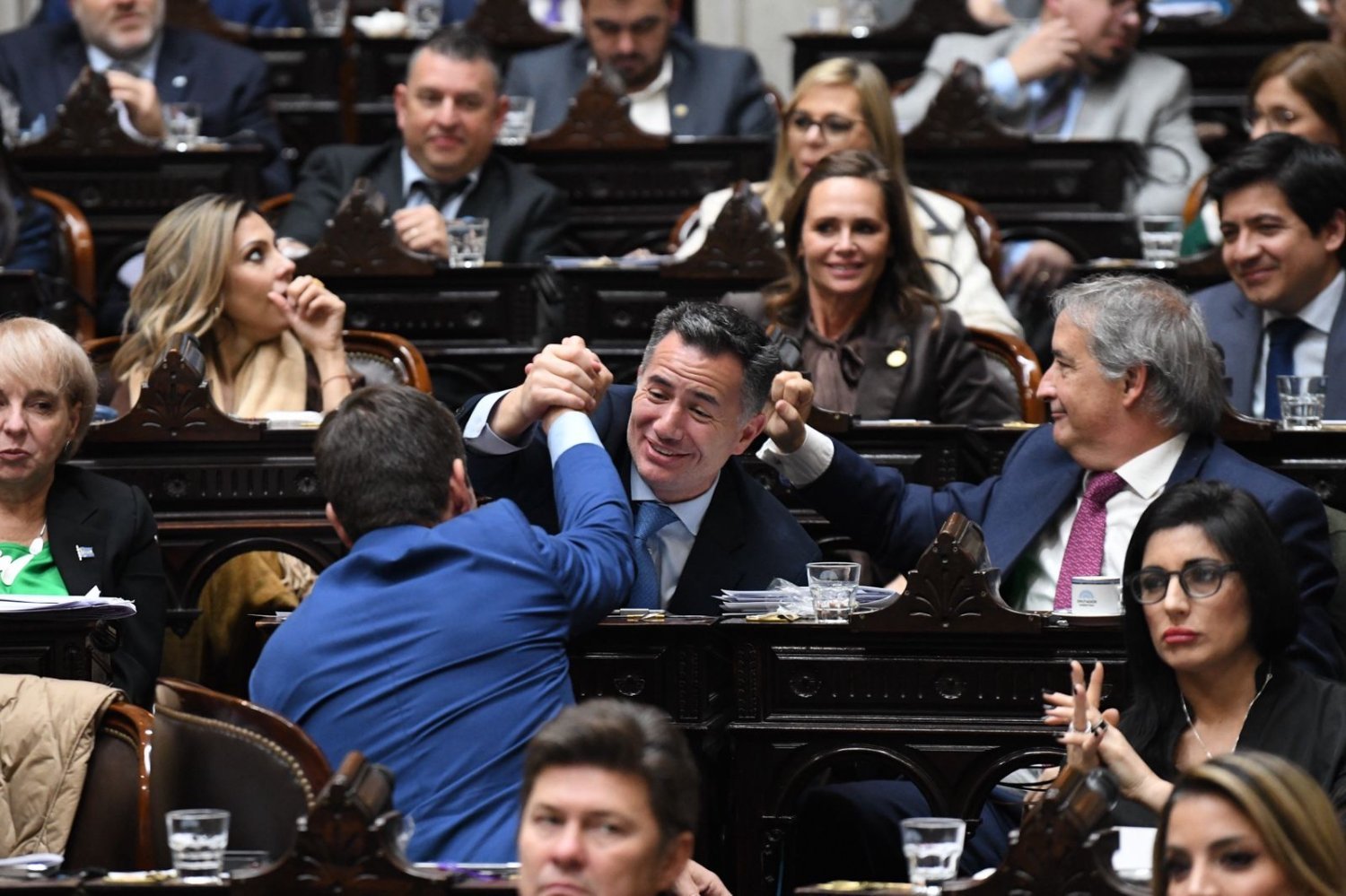 El oficialismo logró media sanción de la Ley Hojarasca en Diputados ...