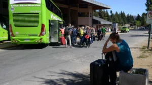 Los boletos sin cargo para discapacitados en micros de larga distancia dejarán de ser cubiertos por Nación