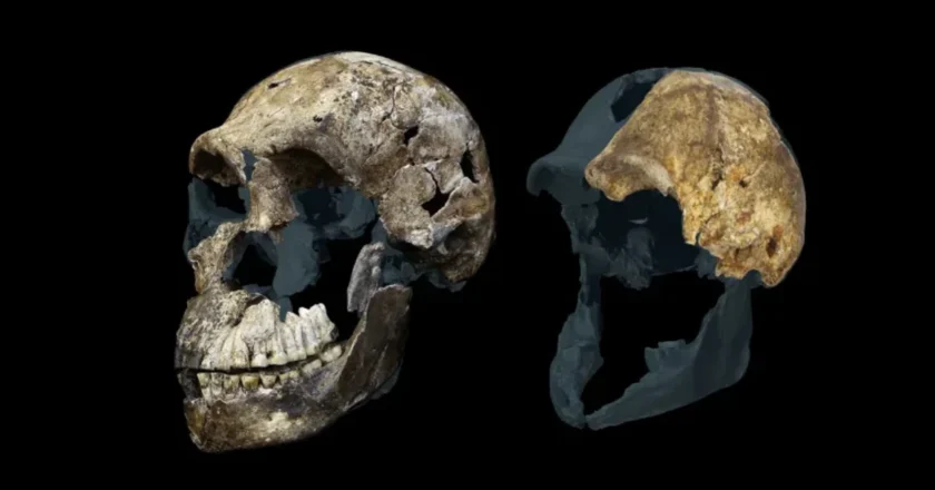 El yacimiento de fósiles más controversial de la evolución humana se ha vuelto aún más desconcertante
