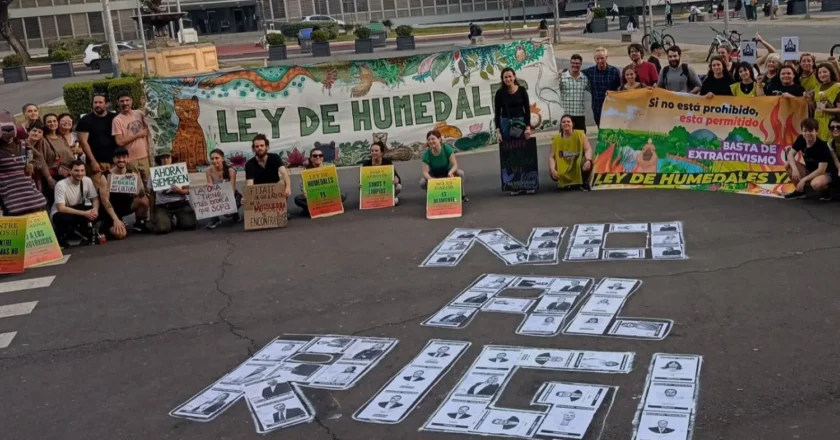 Crecen las dudas de que el Super RIGI deje afuera a empresas locales y al entramado productivo del país