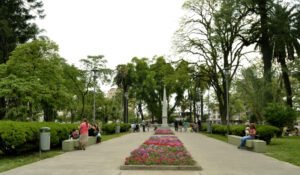 Multas de hasta $9,5 millones: qué sanciones contempla el nuevo Código Ambiental que debate el Concejo