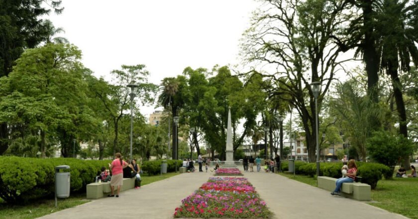 Multas de hasta $9,5 millones: qué sanciones contempla el nuevo Código Ambiental que debate el Concejo