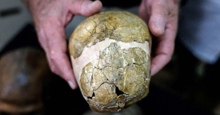 Hallaron en Israel el esqueleto de un bebé neandertal que reveló una diferencia clave con los humanos