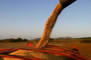 Retenciones al campo: el Gobierno confirmó la rebaja y fijó un cronograma hasta 2028