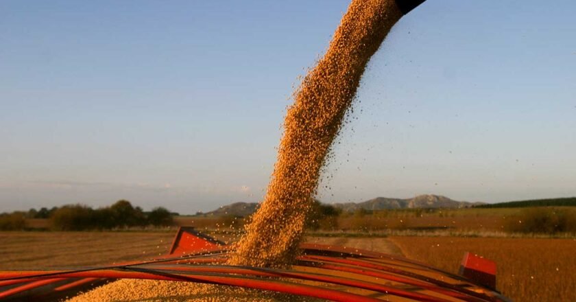Retenciones al campo: el Gobierno confirmó la rebaja y fijó un cronograma hasta 2028