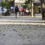 Rige una alerta por viento Zonda en Tucumán: las zonas que podrían verse afectadas este martes