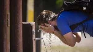 Tucumán lidera la mortalidad cardiovascular por olas de calor en Argentina