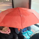 Una pasajera tuvo que abrir un paraguas dentro de un colectivo de la Línea 7 para no mojarse