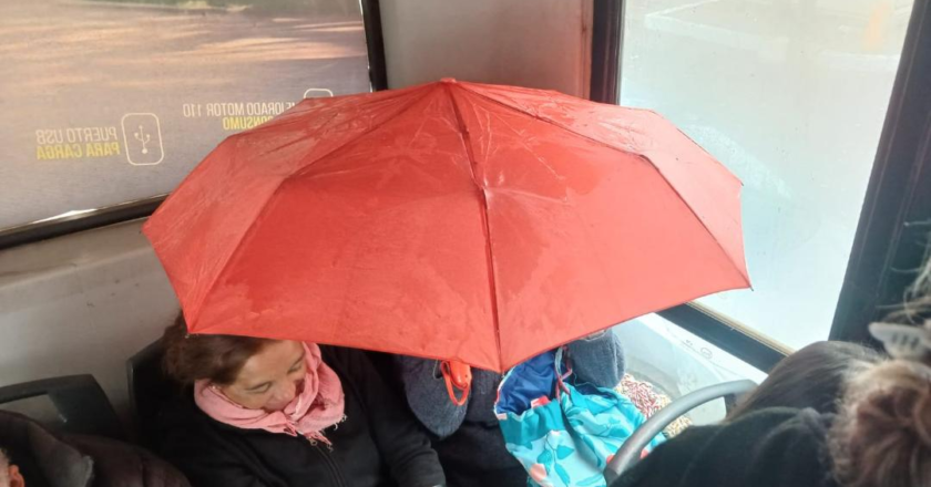 Una pasajera tuvo que abrir un paraguas dentro de un colectivo de la Línea 7 para no mojarse