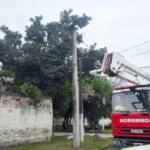 Tragedia en la Capital: murió electrocutado mientras cosechaba paltas y quedó atrapado entre las ramas