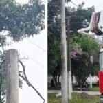 Un joven de 18 años murió electrocutado cuando intentaba sacar paltas de un árbol