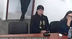 Una mujer fue acusada de estafar a una concesionaria por cerca de $90 millones