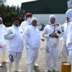 Fuerte crisis: Granja Tres Arroyos ofrece pagar con pollos parte de los salarios