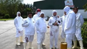 Fuerte crisis: Granja Tres Arroyos ofrece pagar con pollos parte de los salarios