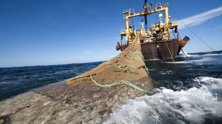 Denuncian a pesqueras del Atlántico Sur por operar con licencias británicas