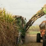 Crisis azucarera: productores alertan que quedará caña sin cosechar y reclaman asistencia oficial