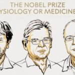 Nobel de Medicina 2026: premiaron a los creadores de una técnica que permite “encender y apagar” neuronas
