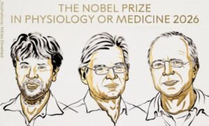 Nobel de Medicina 2026: premiaron a los creadores de una técnica que permite “encender y apagar” neuronas