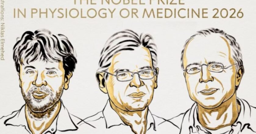 Nobel de Medicina 2026: premiaron a los creadores de una técnica que permite “encender y apagar” neuronas