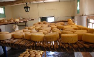 Los quesos de Tafí del Valle conquistan el mundo con un reconocimiento internacional