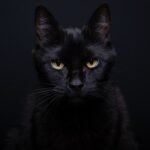 Martes 13: supersticiones más conocidas