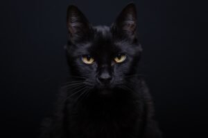 Martes 13: supersticiones más conocidas