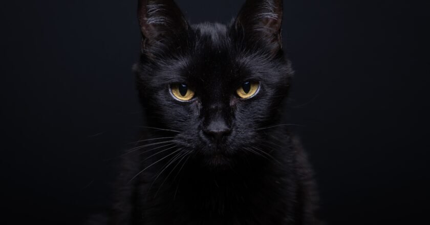 Martes 13: supersticiones más conocidas