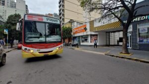 Lunes feriado: los colectivos y otros servicios tendrán actividad restringida