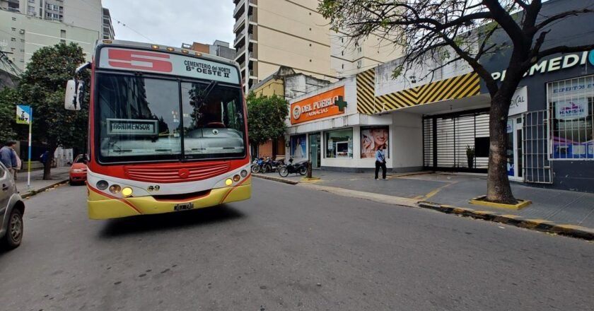 Lunes feriado: los colectivos y otros servicios tendrán actividad restringida