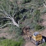 La deforestación avanza en Tucumán: se perdieron 37 mil hectáreas en una década